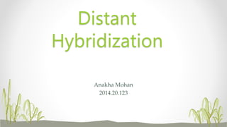 Anakha Mohan
2014.20.123
Distant
Hybridization
 
