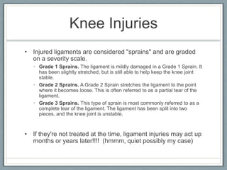 Medial collateral ligament (MCL) 