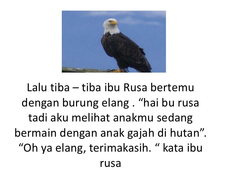 Download 8800 Koleksi Gambar Elang Dan Kata Kata Terbaik Gratis