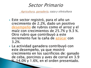    Este sector registró, para el año un
    crecimiento de 2.2%, dado un positivo
    desempeño de rubros como el arroz y el
    maíz con crecimientos de 25.7% y 9.3 %.
    Otro rubro que contribuyó a este
    incremento fue la caña de azúcar con
    3.2%.
   La actividad ganadera contribuyó con
    este desempeño, ya que mostró
    crecimiento en los sacrificios de: ganado
    de ceba, porcinos y aves de corral en 3.9
    %, 14.0% y 1.6%, en el orden presentado.
 
