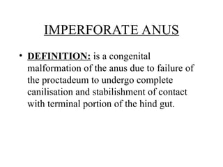 AND PERIANAL CONDITIONSAND PERIANAL CONDITIONS ppt | PPT