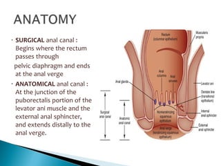 • SURGICAL anal canal :
Begins where the rectum
passes through
pelvic diaphragm and ends
at the anal verge
• ANATOMICAL anal canal :
At the junction of the
puborectalis portion of the
levator ani muscle and the
external anal sphincter,
and extends distally to the
anal verge.
 