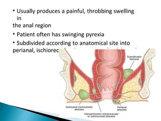 • Usually produces a painful, throbbing swelling
in
the anal region
• Patient often has swinging pyrexia
• Subdivided according to anatomical site into
perianal, ischiorectal, submucous and pelvirectal
 