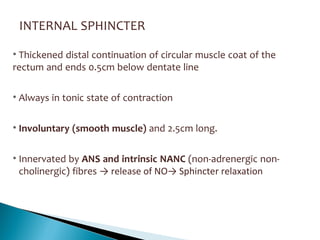 INTERNAL SPHINCTER
• Thickened distal continuation of circular muscle coat of the
rectum and ends 0.5cm below dentate line
• Always in tonic state of contraction
• Involuntary (smooth muscle) and 2.5cm long.
• Innervated by ANS and intrinsic NANC (non-adrenergic non-
cholinergic) fibres → release of NO→ Sphincter relaxation
 
