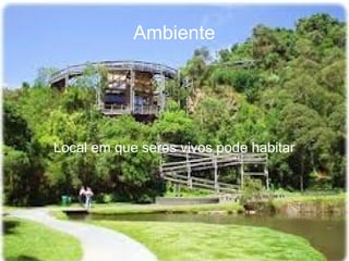 Ambiente




Local em que seres vivos pode habitar
 
