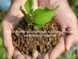 Plantar




Plantar:Plantar e colher e não mais tirar onde as
             pessoas pode a palntar
 