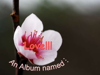 Love!!! An Album named… 