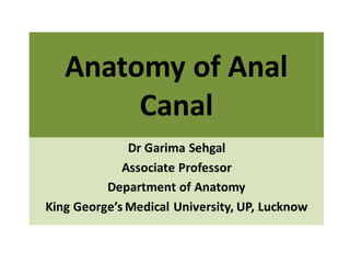 Anatomy of Anal
Canal
Dr Garima Sehgal
Associate Professor
Department of Anatomy
King George’s Medical University, UP, Lucknow
 