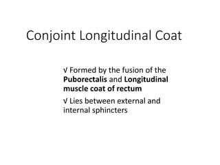 Conjoint Longitudinal Coat
√ Formed by the fusion of the
Puborectalis and Longitudinal
muscle coat of rectum
√ Lies between external and
internal sphincters
 
