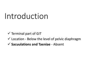 Introduction
 Terminal part of GIT
 Location - Below the level of pelvic diaphragm
 Sacuulations and Taeniae - Absent
 
