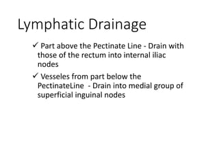 Lymphatic Drainage
 Part above the Pectinate Line - Drain with
those of the rectum into internal iliac
nodes
 Vesseles from part below the
PectinateLine - Drain into medial group of
superficial inguinal nodes
 