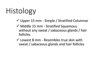 Histology
 Upper 15 mm - Simple / Stratified Columnar
 Middle 15 mm - Stratified Squamous
without any sweat / sabaceous glands / hair
follicles
 Lowest 8 mm - Resembles true skin with
sweat / sabaceous glands and hair follicles
 