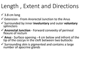 Length , Extent and Directions
 3.8 cm long
 Extension - From Anorectal Junction to the Anus
 Surrounded by inner involuntary and outer voluntary
sphincters
 Anorectal Junction - Forward convexity of perineal
flexure of rectum
 Anus - Surface opening - 4 cm below and infront of the
tip of the coccyx in the cleft between two buttocks
 Surrounding skin is pigmented and contains a large
number of apocrine glands
 