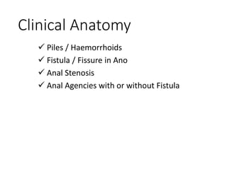 Clinical Anatomy
 Piles / Haemorrhoids
 Fistula / Fissure in Ano
 Anal Stenosis
 Anal Agencies with or without Fistula
 