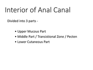 Interior of Anal Canal
Divided into 3 parts -
• Upper Mucous Part
• Middle Part / Transistional Zone / Pecten
• Lower Cutaneous Part
 