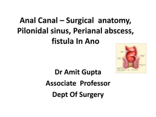 Anal Canal – Surgical anatomy,
Pilonidal sinus, Perianal abscess,
fistula In Ano
Dr Amit Gupta
Associate Professor
Dept Of Surgery
 