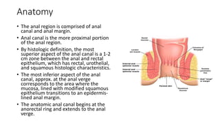 Anatomy
• The anal region is comprised of anal
canal and anal margin.
• Anal canal is the more proximal portion
of the anal region.
• By histologic definition, the most
superior aspect of the anal canal is a 1-2
cm zone between the anal and rectal
epithelium, which has rectal, urothelial,
and squamous histologic characteristics.
• The most inferior aspect of the anal
canal, approx. at the anal verge
corresponds to the area where the
mucosa, lined with modified squamous
epithelium transitions to an epidermis-
lined anal margin.
• The anatomic anal canal begins at the
anorectal ring and extends to the anal
verge.
 