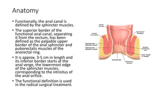 Anatomy
• Functionally, the anal canal is
defined by the sphincter muscles.
• The superior border of the
functional anal canal, separating
it from the rectum, has been
defined as the palpable upper
border of the anal sphincter and
puborectalis muscles of the
anorectal ring.
• It is approx. 3-5 cm in length and
its inferior border starts at the
anal verge, the lowermost edge
of the sphincter muscles,
corresponding to the introitus of
the anal orifice.
• The functional definition is used
in the radical surgical treatment.
 