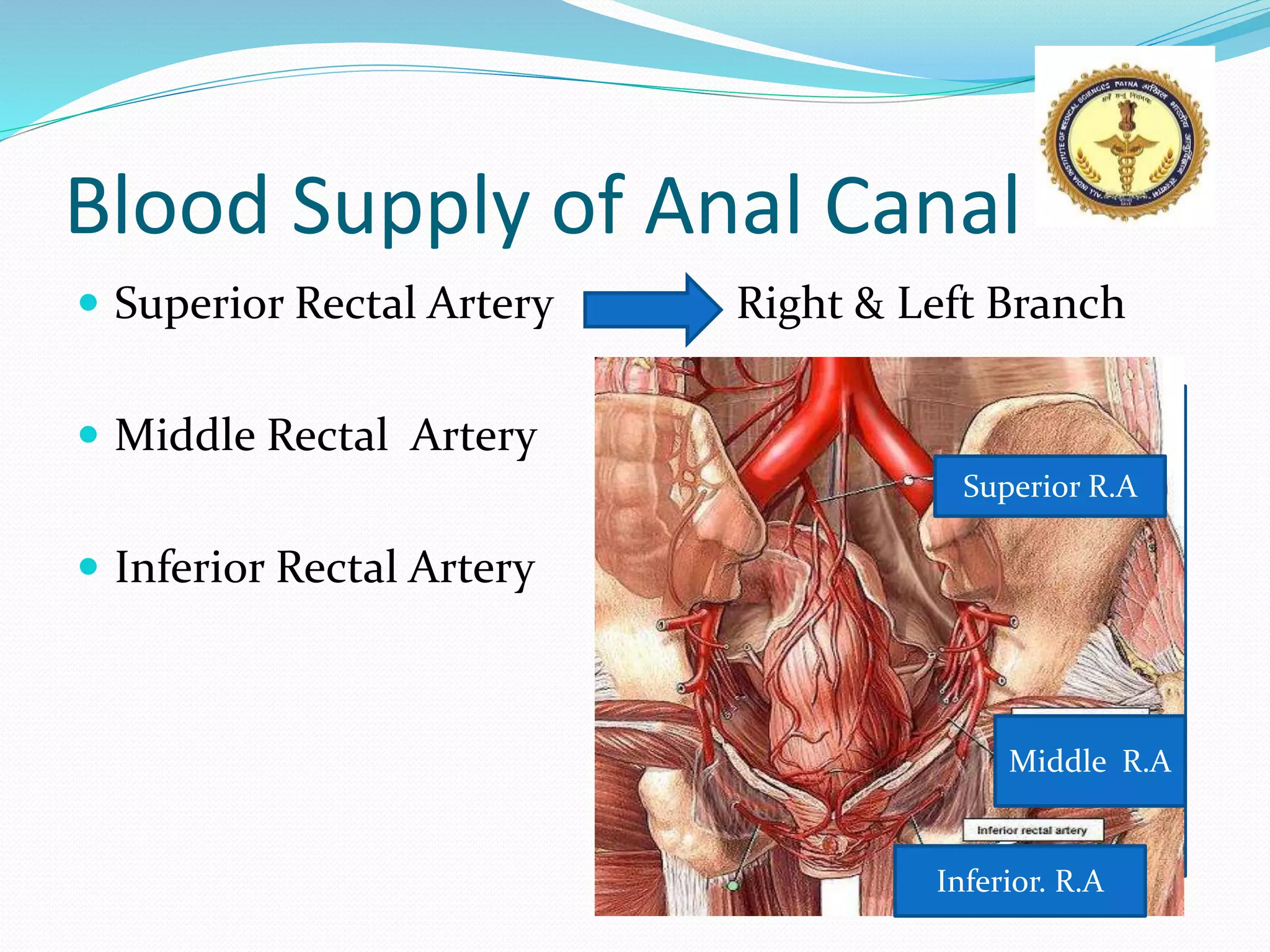 Anal fissure & fistula in ano PPT By Dr Anil Kumar, Assistant Professor ...