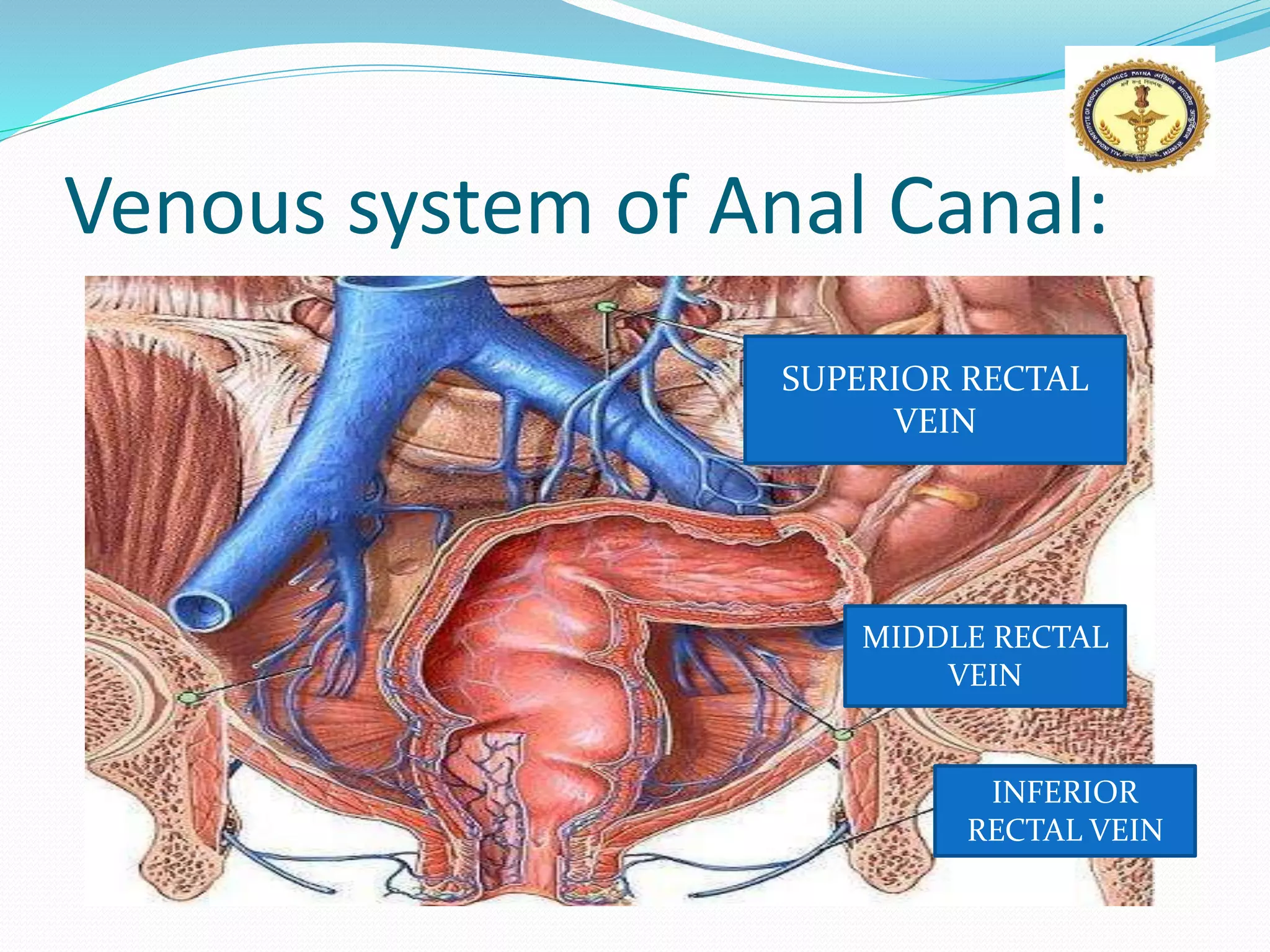 Anal fissure & fistula in ano PPT By Dr Anil Kumar, Assistant Professor ...