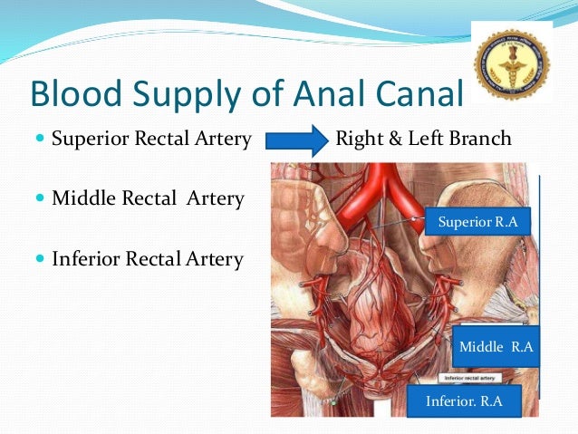 Nude Images - Type ofdoctor to see for an anal fissure anal to Type ofdoctor an see fissure for