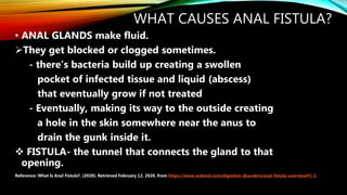 Anal Fistula | PPTX