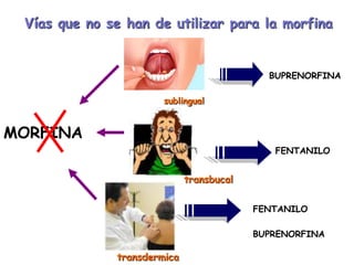 Vías que no se han de utilizar para la morfina


                                            BUPRENORFINA

                       sublingual


MORFINA
                                             FENTANILO


                             transbucal

                                          FENTANILO

                                          BUPRENORFINA

              transdermica
 