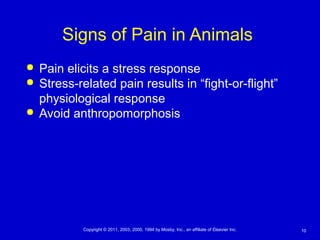 10Copyright © 2011, 2003, 2000, 1994 by Mosby, Inc., an affiliate of Elsevier Inc.
Signs of Pain in Animals
 Pain elicits a stress response
 Stress-related pain results in “fight-or-flight”
physiological response
 Avoid anthropomorphosis
 