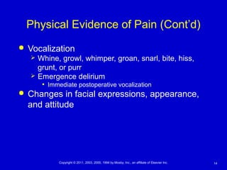 14Copyright © 2011, 2003, 2000, 1994 by Mosby, Inc., an affiliate of Elsevier Inc.
Physical Evidence of Pain (Cont’d)
 Vocalization
 Whine, growl, whimper, groan, snarl, bite, hiss,
grunt, or purr
 Emergence delirium
• Immediate postoperative vocalization
 Changes in facial expressions, appearance,
and attitude
 