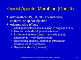 28Copyright © 2011, 2003, 2000, 1994 by Mosby, Inc., an affiliate of Elsevier Inc.
Opioid Agents: Morphine (Cont’d)
 Administered IV, IM, SC, intraarticular,
epidural, or spinal injection
 Adverse side effects
 Initial gastrointestinal stimulation in dogs and cats
 Ileus and colic development in horses
 Excitement, miosis (dogs), mydriasis (cats),
hypothermia, hyperthermia (cats)
 Bradycardia, panting, increased intraocular
pressure, urinary retention
 Physical addiction (humans)
 