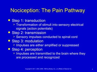 4Copyright © 2011, 2003, 2000, 1994 by Mosby, Inc., an affiliate of Elsevier Inc.
Nociception: The Pain Pathway
 Step 1: transduction
 Transformation of stimuli into sensory electrical
signals (action potentials)
 Step 2: transmission
 Sensory impulses conducted to spinal cord
 Step 3: modulation
 Impulses are either amplified or suppressed
 Step 4: perception
 Impulses are transmitted to the brain where they
are processed and recognized
 