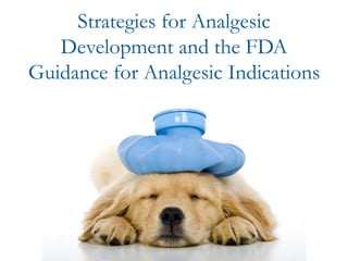 Strategies for Analgesic
Development and the FDA
Guidance for Analgesic Indications
 