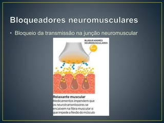 • Bloqueio da transmissão na junção neuromuscular 
 