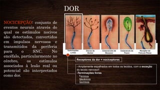 DOR
NOCICEPÇÃO: conjunto de
eventos neurais através do
qual os estímulos nocivos
são detectados, convertidos
em impulsos nervosos e
transmitidos da periferia
para o SNC. No
encéfalo, particularmente no
cérebro, os estímulos
associados à lesão real ou
potencial são interpretados
como dor.
- Amplamente espalhados em todos os tecidos, com a exceção
do tecido nervoso!!
-Terminações livres
Térmicos
Mecânicos
Químicos
DOR
Receptores da dor = nociceptores
 