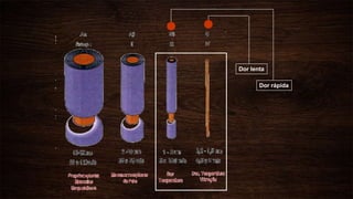 Dor rápida
Dor lenta
 