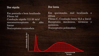 Dor rápida
Em pontada e bem localizada
Fibras Ad
Condução rápida (12-30 m/s)
mecanorreceptores de alto
limiar
Nociceptores unimodais
Dor lenta
Em queimação, mal localizada e
difusa
Fibras C, Condução lenta (0,5 a 2m/s)
Receptores mecânicos, térmicos e
químicos.
Nociceptores polimodais
Tempo
Intensidadedador
 