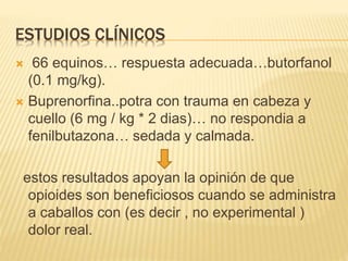 ESTUDIOS CLÍNICOS
 66 equinos… respuesta adecuada…butorfanol
(0.1 mg/kg).
 Buprenorfina..potra con trauma en cabeza y
cuello (6 mg / kg * 2 dias)… no respondia a
fenilbutazona… sedada y calmada.
estos resultados apoyan la opinión de que
opioides son beneficiosos cuando se administra
a caballos con (es decir , no experimental )
dolor real.
 