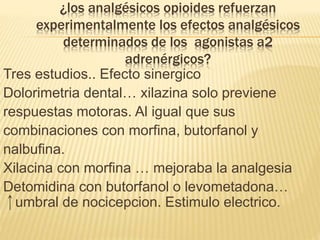 ¿los analgésicos opioides refuerzan
experimentalmente los efectos analgésicos
determinados de los agonistas a2
adrenérgicos?
Tres estudios.. Efecto sinergico
Dolorimetria dental… xilazina solo previene
respuestas motoras. Al igual que sus
combinaciones con morfina, butorfanol y
nalbufina.
Xilacina con morfina … mejoraba la analgesia
Detomidina con butorfanol o levometadona…
umbral de nocicepcion. Estimulo electrico.
 