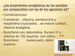 ¿las propiedades analgésicas de los opioides
son comparables con las de los agonistas a2?
 Combinaciones
 Comparan…xilazina, pentazocina y
meperidina inyectados…se induce colicos ,,
xilazina analgesia.
 Butorfanol con detomidina, flunixin IV y
xilazina en 152 equinos con cólico..
Butorfanol inadecuado, detomidina…
superior.
www.equus-sa.com.ar
 