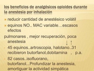 los beneficios de analgésicos opioides durante
la anestesia por inhalación
 reducir cantidad de anestésico volátil
 equinos NO.. MAC variable…escasos
efectos
pulmonares , mejor recuperación, poca
anestesia
• 45 equinos..artroscopia, halotano..31
recibieron butorfanol,dobitamina , p.a.
• 82 casos..isofluorano,
butorfanol...Profundizar la anestesia,
amortiguar la actividad simpática
 