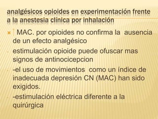 analgésicos opioides en experimentación frente
a la anestesia clínica por inhalación
 MAC. por opioides no confirma la ausencia
de un efecto analgésico
- estimulación opioide puede ofuscar mas
signos de antinocicepcion
- -el uso de movimientos como un índice de
inadecuada depresión CN (MAC) han sido
exigidos.
- -estimulación eléctrica diferente a la
quirúrgica
 