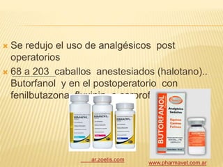  Se redujo el uso de analgésicos post
operatorios
 68 a 203 caballos anestesiados (halotano)..
Butorfanol y en el postoperatorio con
fenilbutazona, fluxinin, o carprofeno.
www.pharmavet.com.ar
ar.zoetis.com
 