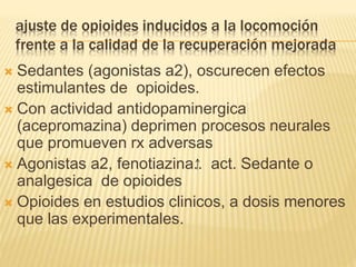 ajuste de opioides inducidos a la locomoción
frente a la calidad de la recuperación mejorada
 Sedantes (agonistas a2), oscurecen efectos
estimulantes de opioides.
 Con actividad antidopaminergica
(acepromazina) deprimen procesos neurales
que promueven rx adversas
 Agonistas a2, fenotiazina.. act. Sedante o
analgesica de opioides
 Opioides en estudios clinicos, a dosis menores
que las experimentales.
 