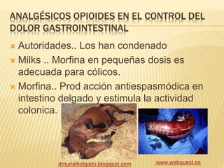 ANALGÉSICOS OPIOIDES EN EL CONTROL DEL
DOLOR GASTROINTESTINAL
 Autoridades.. Los han condenado
 Milks .. Morfina en pequeñas dosis es
adecuada para cólicos.
 Morfina.. Prod acción antiespasmódica en
intestino delgado y estimula la actividad
colonica.
dmurielholgado.blogspot.com www.webquest.es
 