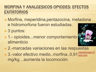 MORFINA Y ANALGESICOS OPIODES: EFECTOS
EXITATORIOS
 Morfina, meperidina,pentazocina, metadona
e hidromorfona fueron estudiadas.
 3 puntos:
 1.- opioides...menor comportamiento
alimenticio
 2.-marcadas variaciones en las respuestas
 3.-valor efectivo medio..morfina..0,91
mg/kg…aumenta la locomoción.
naoasdrogas.tri
pod.com
 