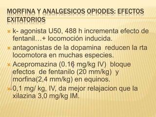 MORFINA Y ANALGESICOS OPIODES: EFECTOS
EXITATORIOS
 k- agonista U50, 488 h incrementa efecto de
fentanil…+ locomoción inducida.
 antagonistas de la dopamina reducen la rta
locomotora en muchas especies.
 Acepromazina (0.16 mg/kg IV) bloque
efectos de fentanilo (20 mm/kg) y
morfina(2,4 mm/kg) en equinos.
 0,1 mg/ kg, IV, da mejor relajacion que la
xilazina 3,0 mg/kg IM.
 