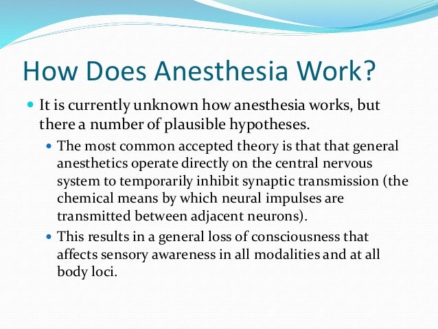 the autonomic nervous system