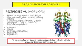 TIPOS DE RECEPTORES OPIOIDES
RECEPTORES MU (MOR u OP3)
- Primer receptor opioide descubierto
- Ligandos endógenos: beta-endorfina y
morfina
- Gran afinidad por la morfina y por el
antagonismo opiáceo naloxona
- Estimulación produce:
 Analgesia
 Miosis
 Depresion respiratoria
 Bradicardia
 Hipotermia
“Los efectos farmacológicos fundamentales de la morfina incluida la
analgesia, dependen del receptor mu”
 