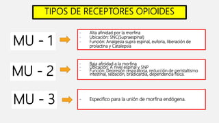 TIPOS DE RECEPTORES OPIOIDES
- Alta afinidad por la morfina
- Ubicación: SNC(Supraespinal)
- Función: Analgesia supra espinal, euforia, liberación de
prolactina y Catalepsia
- Baja afinidad a la morfina
- Ubicación: A nivel espinal y SNP
- Función: Depresión respiratoria, reducción de peristaltismo
intestinal, sedación, bradicardia, dependencia física.
- Especifico para la unión de morfina endógena.
MU - 3
MU - 2
MU - 1
 