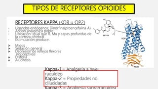 RECEPTORES KAPPA (KOR u OP2)
- Ligandos endógenos: Dinorfina(proencefalina A)
- Acción analgésica pobre
- Ubicación: Igual que R. Mu y capas profundas de
la corteza cerebral
- Estimulación produce:
 Miosis
 Sedación general
 Depresión de reflejos flexores
nociceptivos
 Disforia
 Alucinosis
TIPOS DE RECEPTORES OPIOIDES
Kappa-1 = Analgesia a nivel
raquídeo
Kappa-2 = Propiedades no
dilucidadas
 